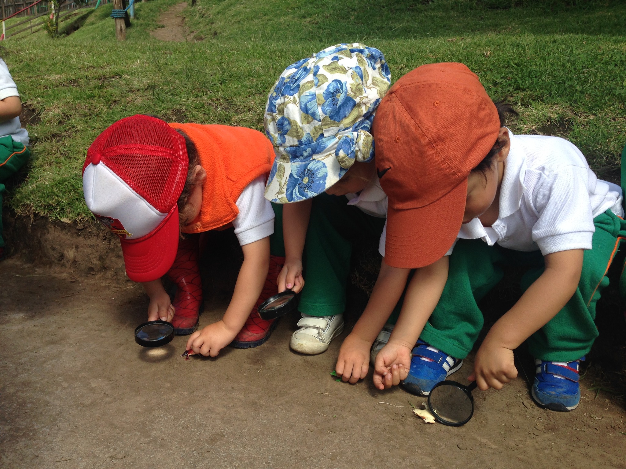 Niños siembran juntos en un huerto